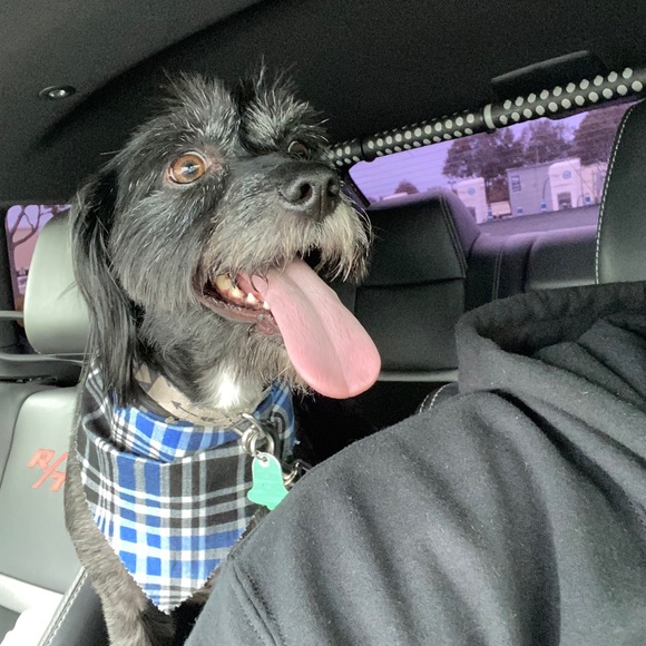 Meet your Posher, John - Picture 1 of 1